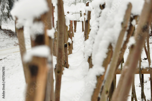 Snowbound twig fence in the forest close up.