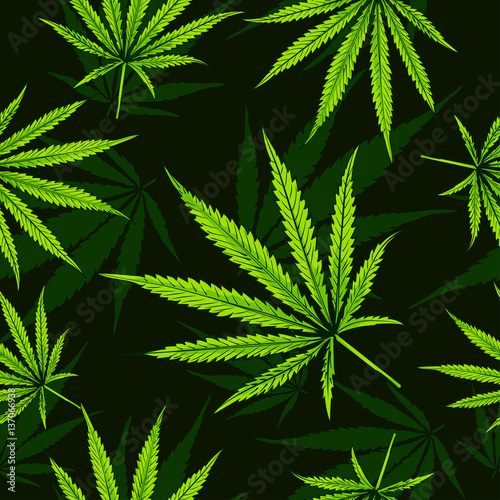 Cannabis leafs seamless vector pattern