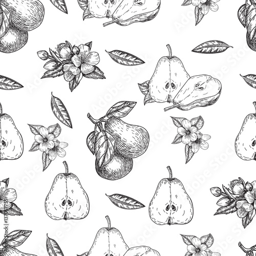 Seamles pattern vector hand made sketch illustration of engraving pear