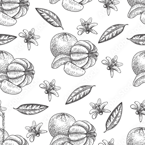Hand made vector seamless sketch of mandarins in vintage style.