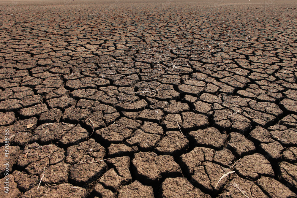 Cracked earth and dry soil texture Cracked earth and dry soil texture