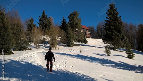 Man walking within the trees on the hill in winter. Slovakia