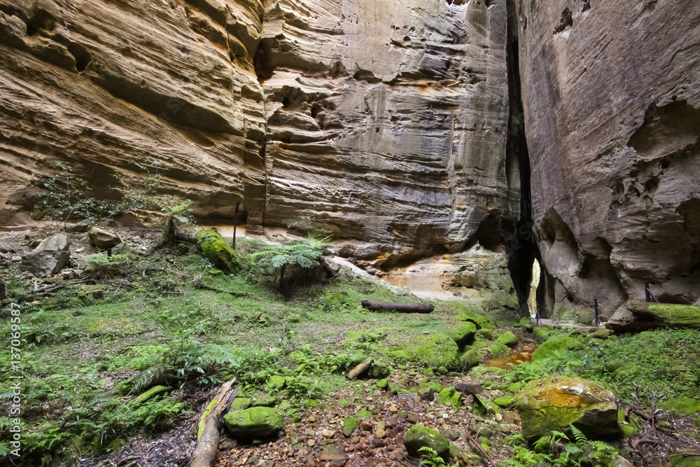 Fototapeta premium One of the impressive side gorges of Carnarvon Gorge National Park - Amphitheatre, Queensland, Australia