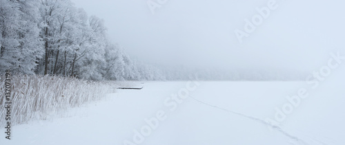 Fototapeta Naklejka Na Ścianę i Meble -  Frozen empty lake during the winter with copy space