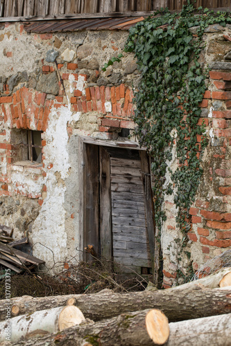 house ruin with evergreen and logs