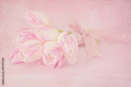 Gentle pink tulips on a pink background with a texture.Vintage style  grunge paper background. 