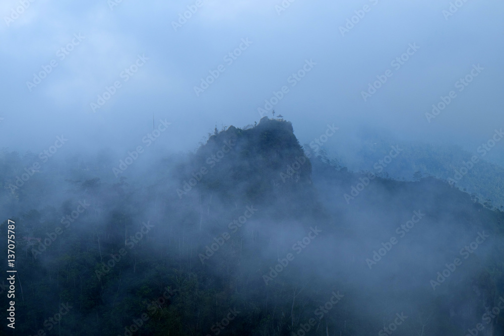 Fototapeta premium Misty