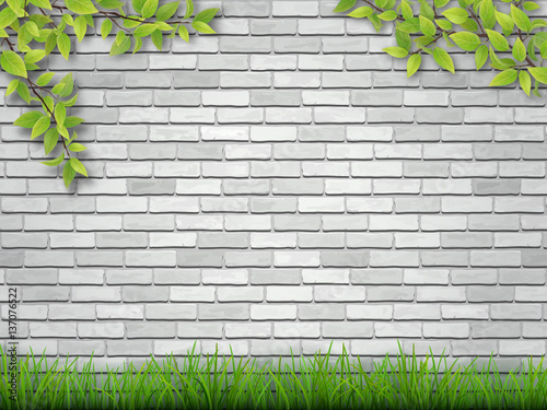 Grass and tree branches on white brick wall background.