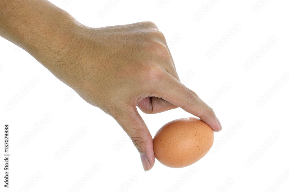 Add the egg cell is isolated on a white background. Add the egg cell is isolated on a white background.