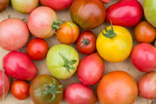 many colorful tomatoes with different size background