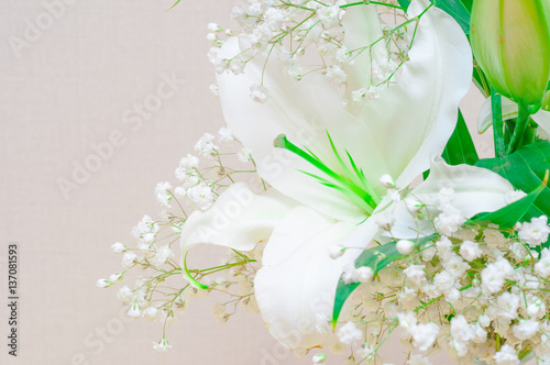 Big white lily flower macro view. White flowers still life.