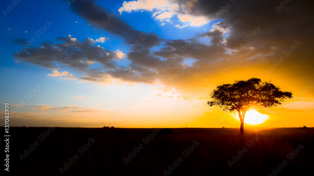 Africa Sunset Tree