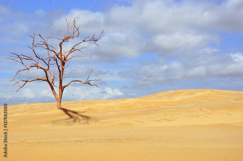 Dead tree in deserted sand dune under blue sky. Drought, climate change concepts and surreal landscape. Digital photo manipulation. Copy space for text.