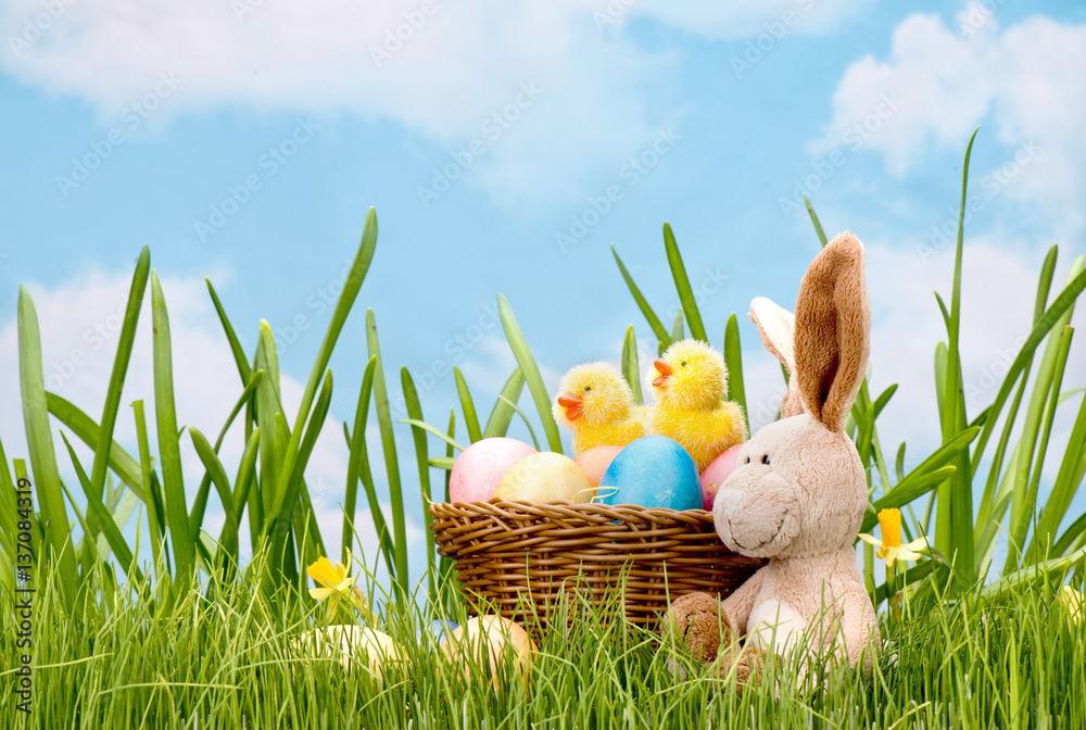 Fototapeta premium Easter eggs flowers grass sky blue yellow branch basket hare chick sheep