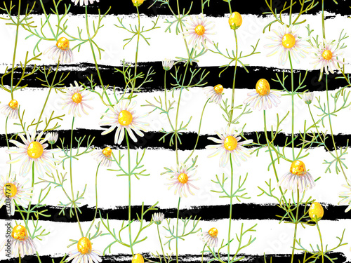 Seamless floral pattern with chamomile flowers. Summer backgroun