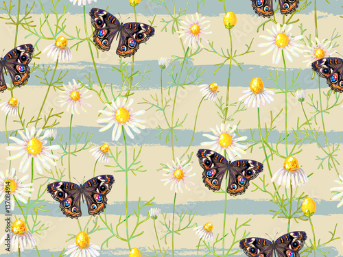Seamless floral pattern with chamomile flowers and butterfly. Su