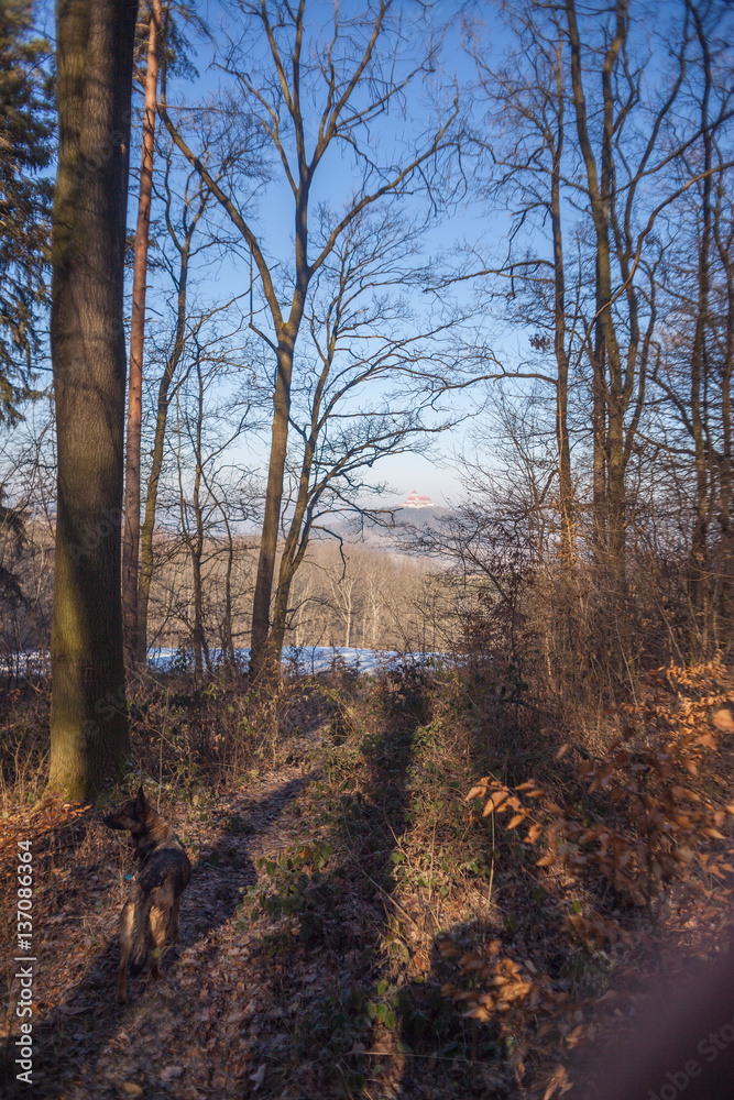 Landschaft im Winter Landschaft im Winter