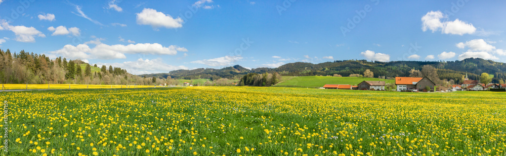 Beautiful yellow flower meadow with some houses and barns.