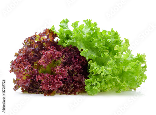 Red and green oak lettuce