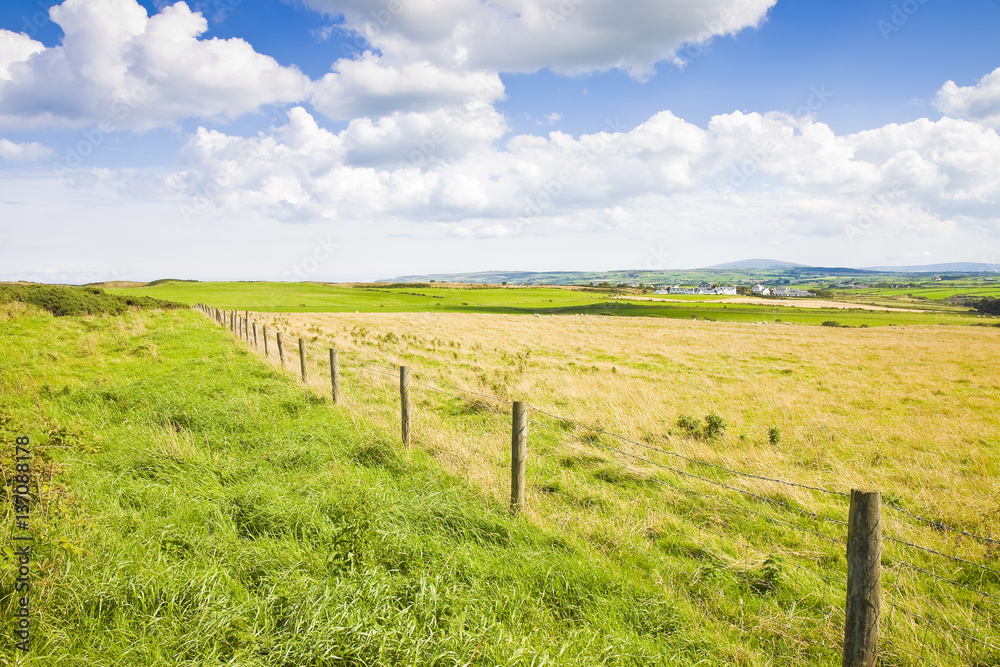 Typical Irish flat landscape with fields of grass and wooden fence  for grazing animals (Ireland)