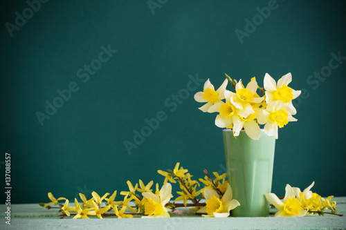 Daffodil in vase on green background