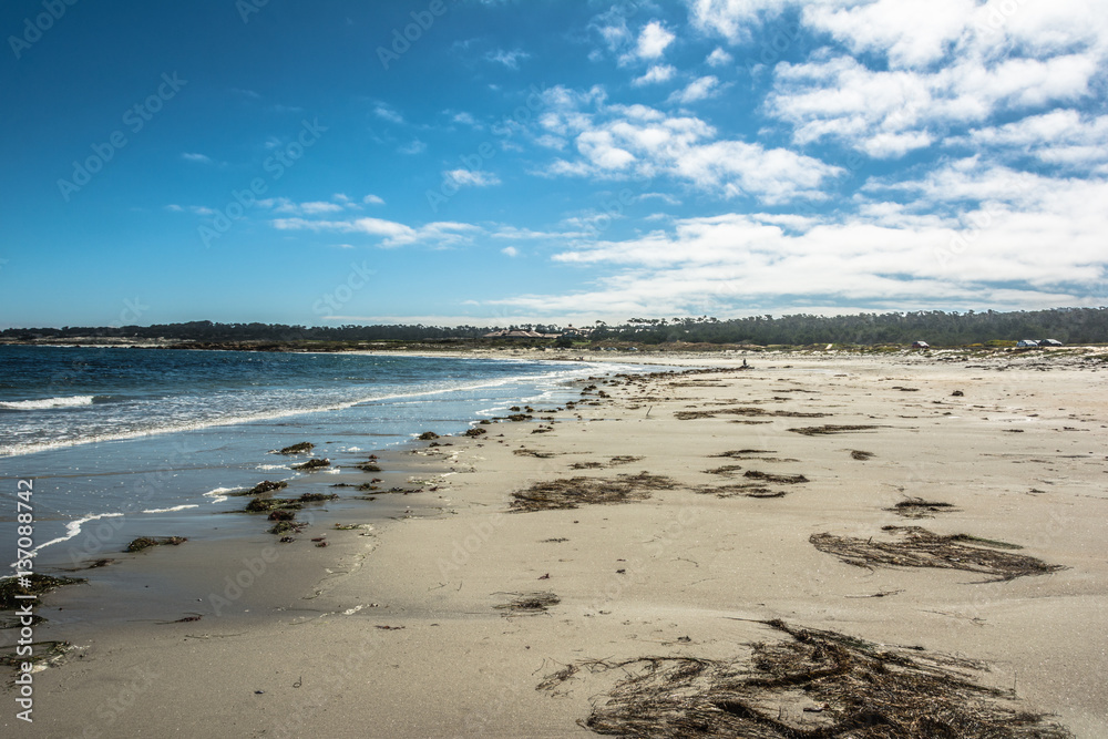 Monterey sand beach, California