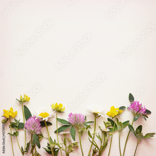 Wild flowers corner on pape...