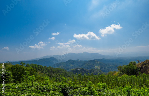 Beautiful Mountain view landscape over tea plantation with Blue sky and white clouds in Nelligala Kandy, Sri Lanka