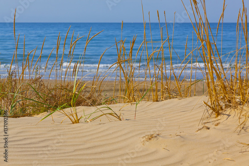 Krasnodar, Anapa, sandy beach, seascape