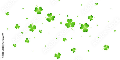 Clover flying leaves background. Saint Patrick's Day banner. Three leaf clover leaves