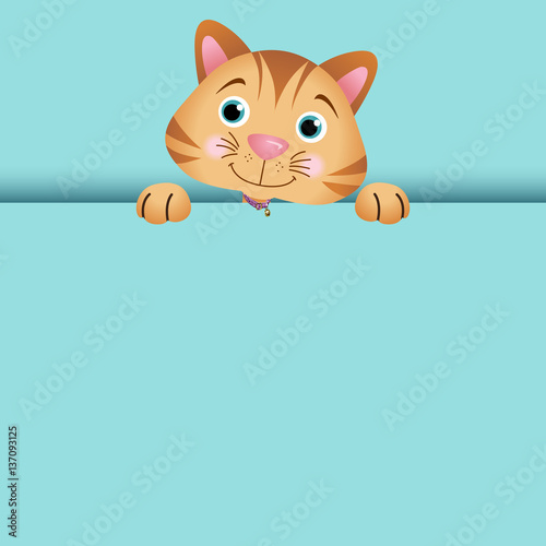 Curious cat peeking out
