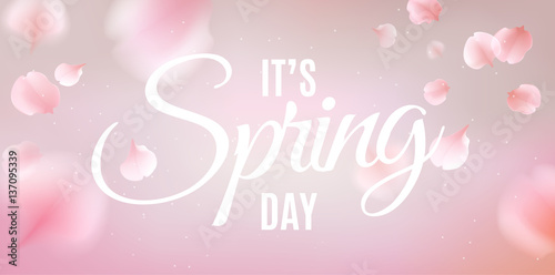 Pink sakura petals falling background
