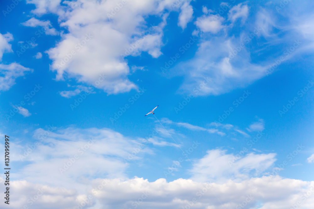 bright sunny summer day in high blue sky freely hovering kite flying stork bright sunny summer day in high blue sky freely hovering kite flying stork