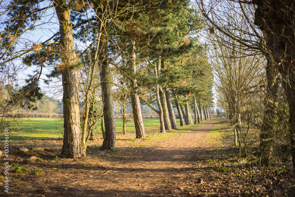 Naklejka premium Countryside in England winter to summer