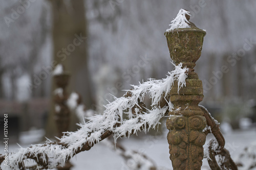 Cemetry in winter. Graveyard. Iron fence. Winter. Frost. Ice. Hoar frost. Maatschappij van Weldadigheid Frederiksoord Netherlands. photo