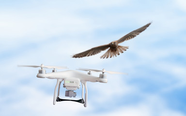 Eagle attacks flying drone in mid-air