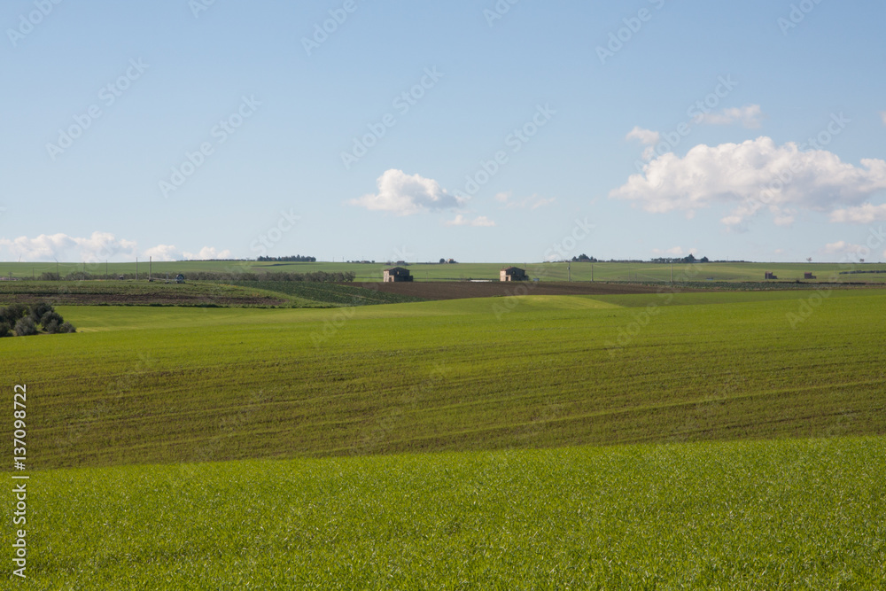 Panorama di campagna