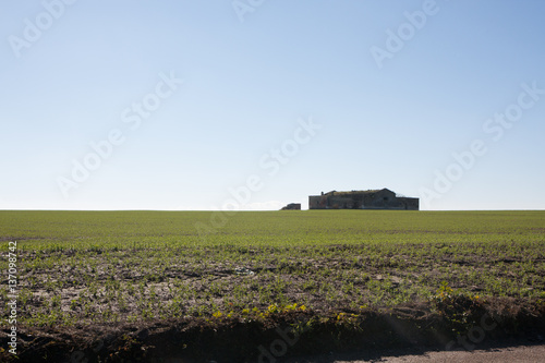 Panorama di campagna