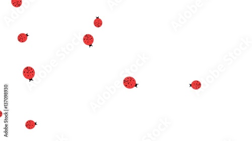 Ladybugs random movement looping animation with alpha channel