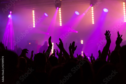 Fototapeta Naklejka Na Ścianę i Meble -  Crowd people with hands in the air at a music festival