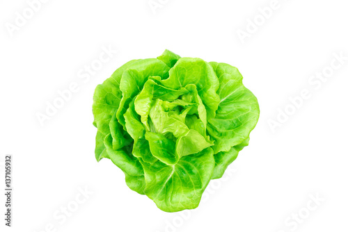 Top view of butterhead lettuce vegetable isolated on white.