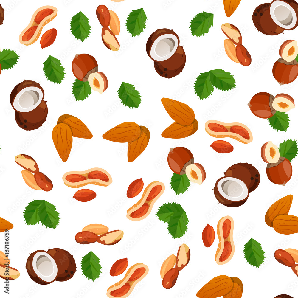 illustration of nuts illustration of nuts