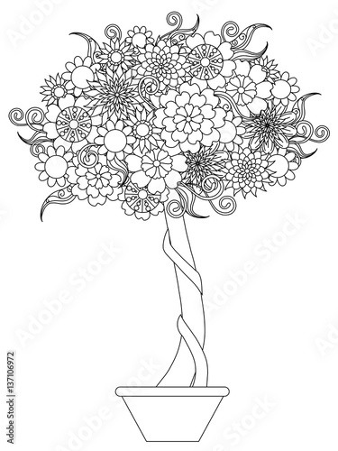 Blooming tree in a pot, anti stress coloring page vector illustration