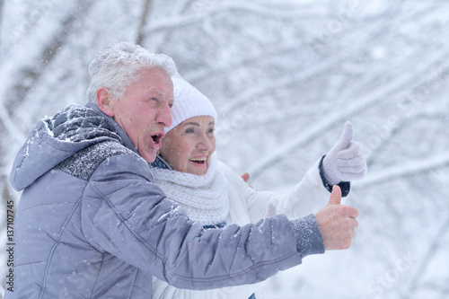 Elderly couple in winter