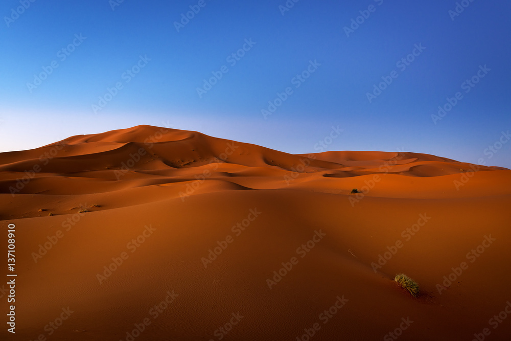 Fototapeta premium View of the dunes at dawn in Erg Chebbi near Merzouga in Morocco, North Africa; Concept for travel in Morocco
