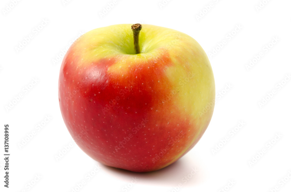 Apfel Nicoter