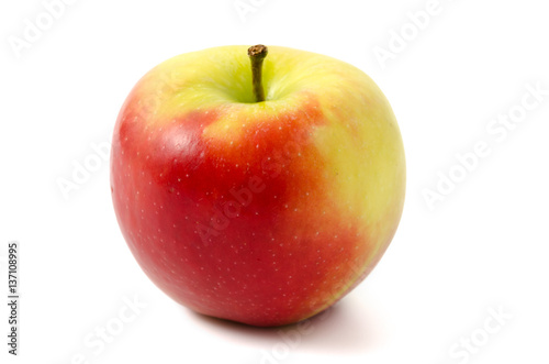 Apfel Nicoter