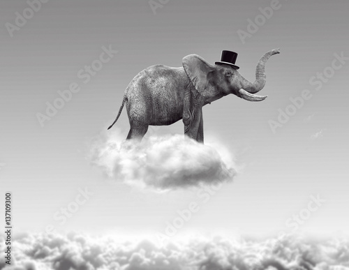 Fotografie, Obraz Elephant flying in the clouds