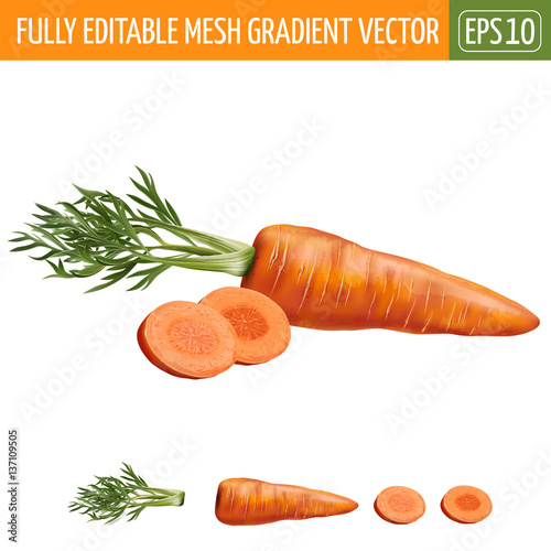 Carrot on white background. Vector illustration