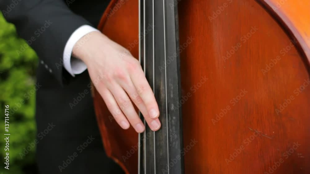 Close up of a man playing a double bass outside. Close up of a man playing a double bass outside.